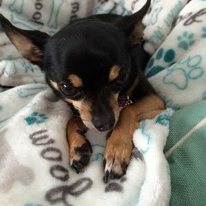 Shop my mom's closet!