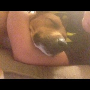 Meet your Posher, Samantha