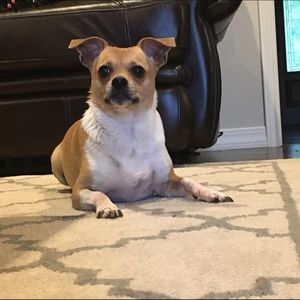 Meet your Posher, Becca