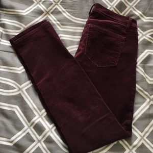 Ann Taylor LOFT Burgundy Corduroys