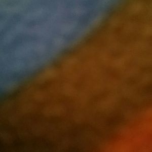 Meet your Posher, Tessa