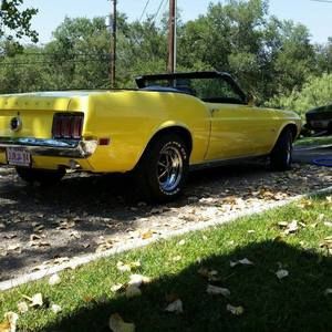 Meet your Posher, Rhonda