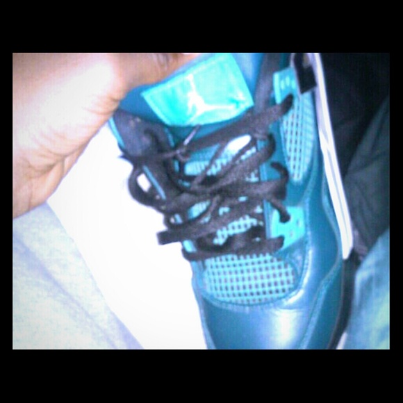 Meet your Posher, Winston - Picture 1 of 1