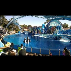 Meet your Posher, Kassidy