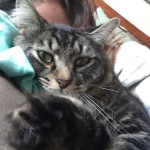 Meet your Posher, Shaneice