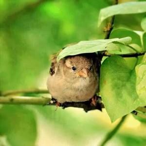 Meet your Posher, Margaret