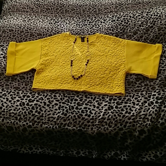 Beautiful H&M Gold Crop Top