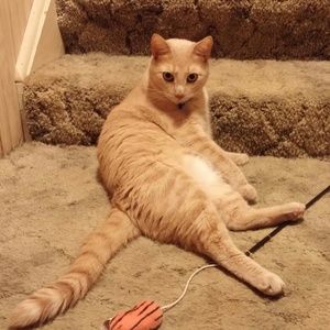 Meet your Posher, Kerry