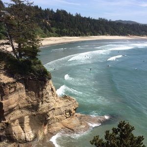 Meet your Posher, Jenny