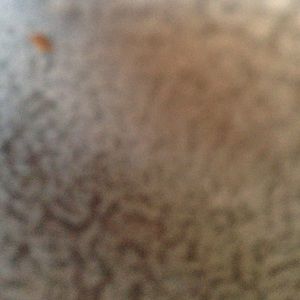 Meet your Posher, Kay