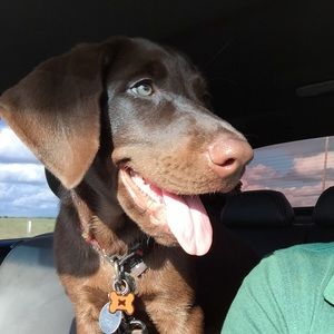 Meet your Posher, Samantha