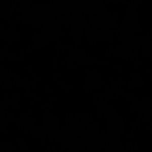 Meet your Posher, Shermanique