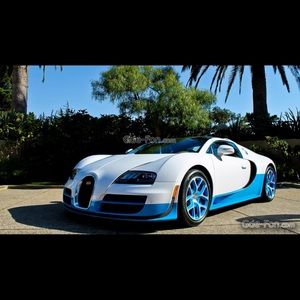 Meet your Posher, Tabby