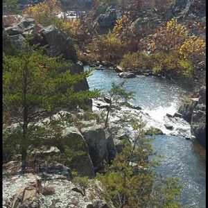 Meet your Posher, Suzette