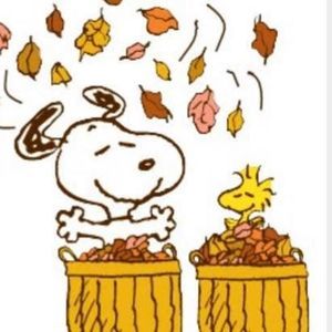 Meet your Posher, Rhonda