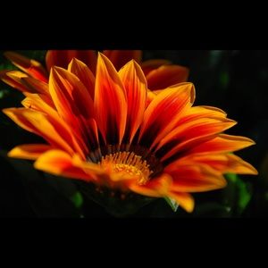 Meet your Posher, Keke