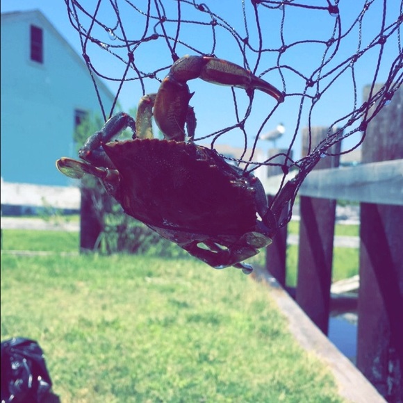 Meet your Posher, Jenna - Picture 1 of 1