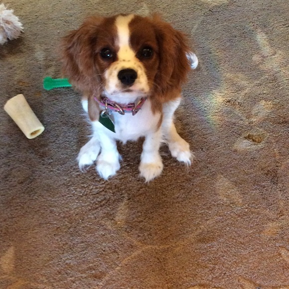 Meet your Posher, Florence