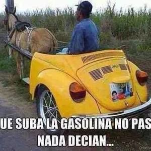 Meet your Posher, Gabriel