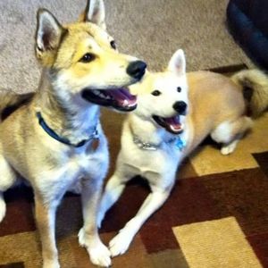 Meet your Posher, Kendra