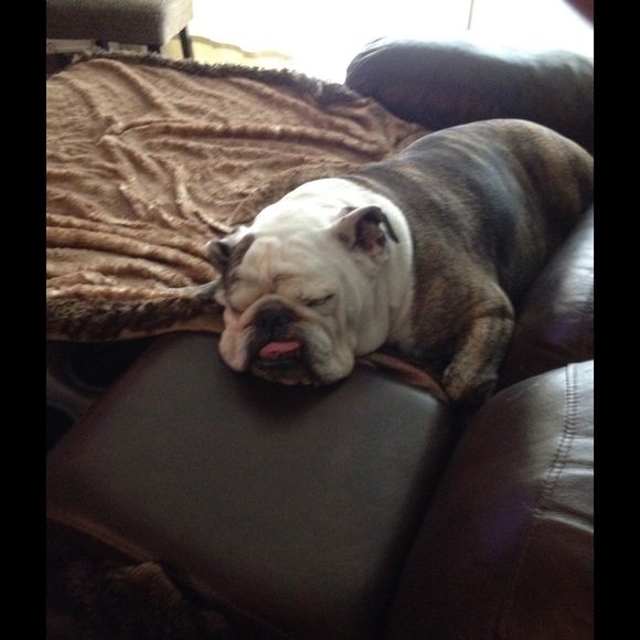 Meet your Posher, David