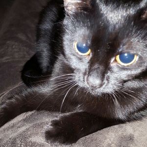 Meet your Posher, Mandi