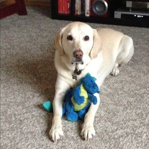 Meet your Posher, Kristine