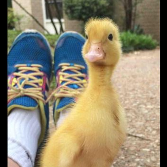 Meet your Posher, April - Picture 1 of 1