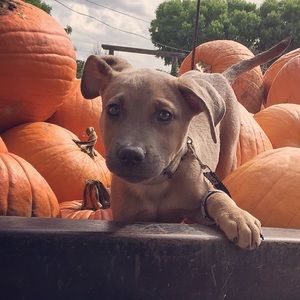 Meet your Posher, Christina