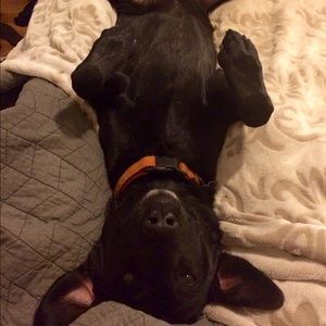 Meet your Posher, Carly