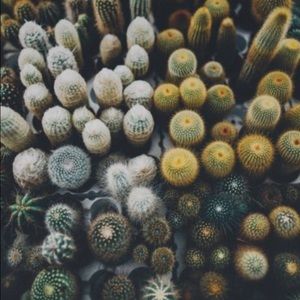 Meet your Posher, Jac