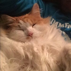 Meet your Posher, Nicole l