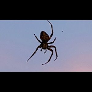 Meet your Posher, Sherry