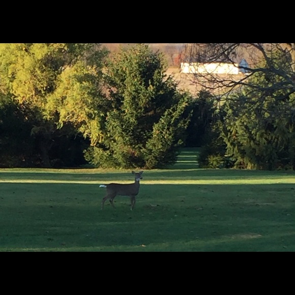 Meet your Posher, David - Picture 1 of 1