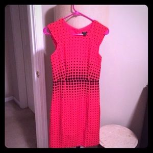 NWOT J.Crew dress