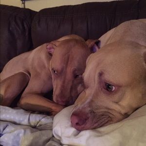 Meet your Posher, Traci