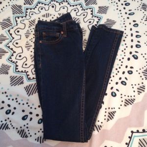Vigoss Dark Wash Skinny Jeans