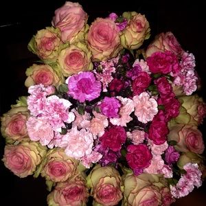 Meet your Posher, Guadalupe