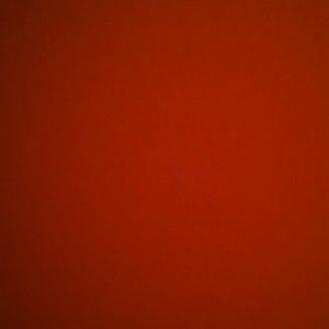 Meet your Posher, Ricky