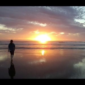 Meet your Posher, Maizie