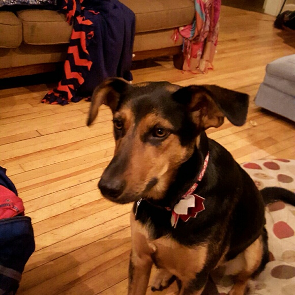 Meet your Posher, Jack