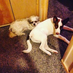 Meet your Posher, Yoon