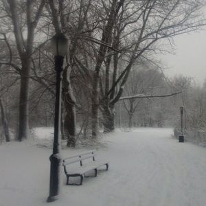 Meet your Posher, Charlotte