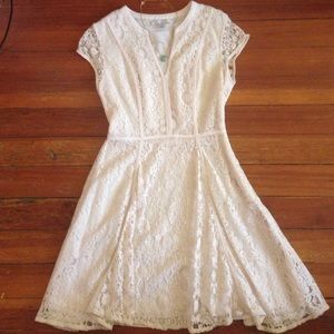 Cream lace skater dress. LAST CHANCE BUY.