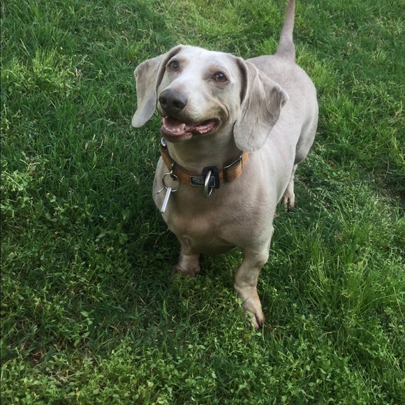 Meet your Posher, Jackolyn - Picture 5 of 8