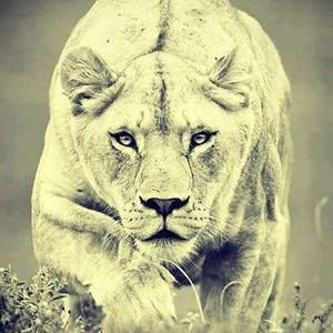 Meet your Posher, Jorge