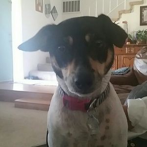 Meet your Posher, Cheryl