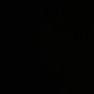 Meet your Posher, Mallory