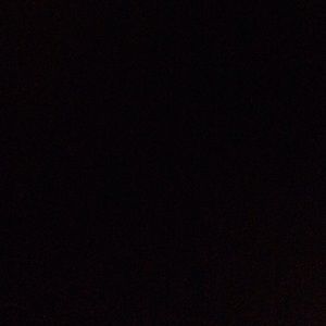 Meet your Posher, Bailee