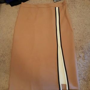 Sexy and sophisticated business skirt